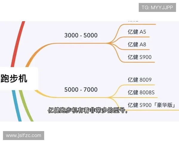 高性价比健身器材品牌选购指南